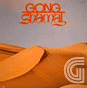  Gong