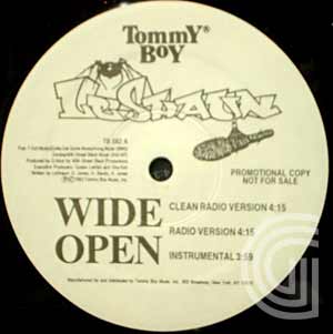 LE SHAWN - Wide Open (clean radio version, radio version, instrumental, lp version, acappella) / The Drill - 12 inch 45 rpm